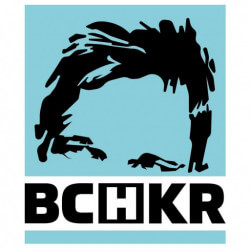Bochkor logo